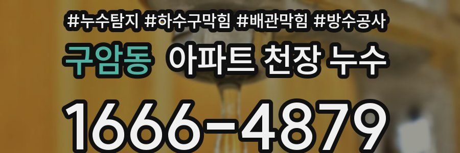 구암동 아파트 천장 누수