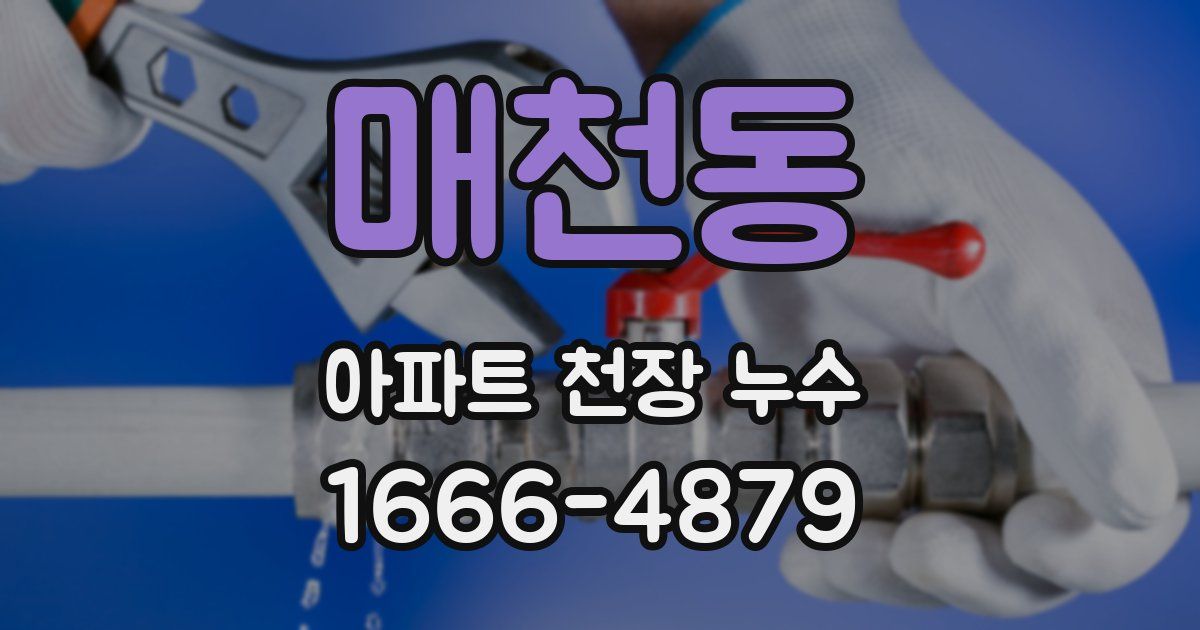 매천동 아파트 천장 누수