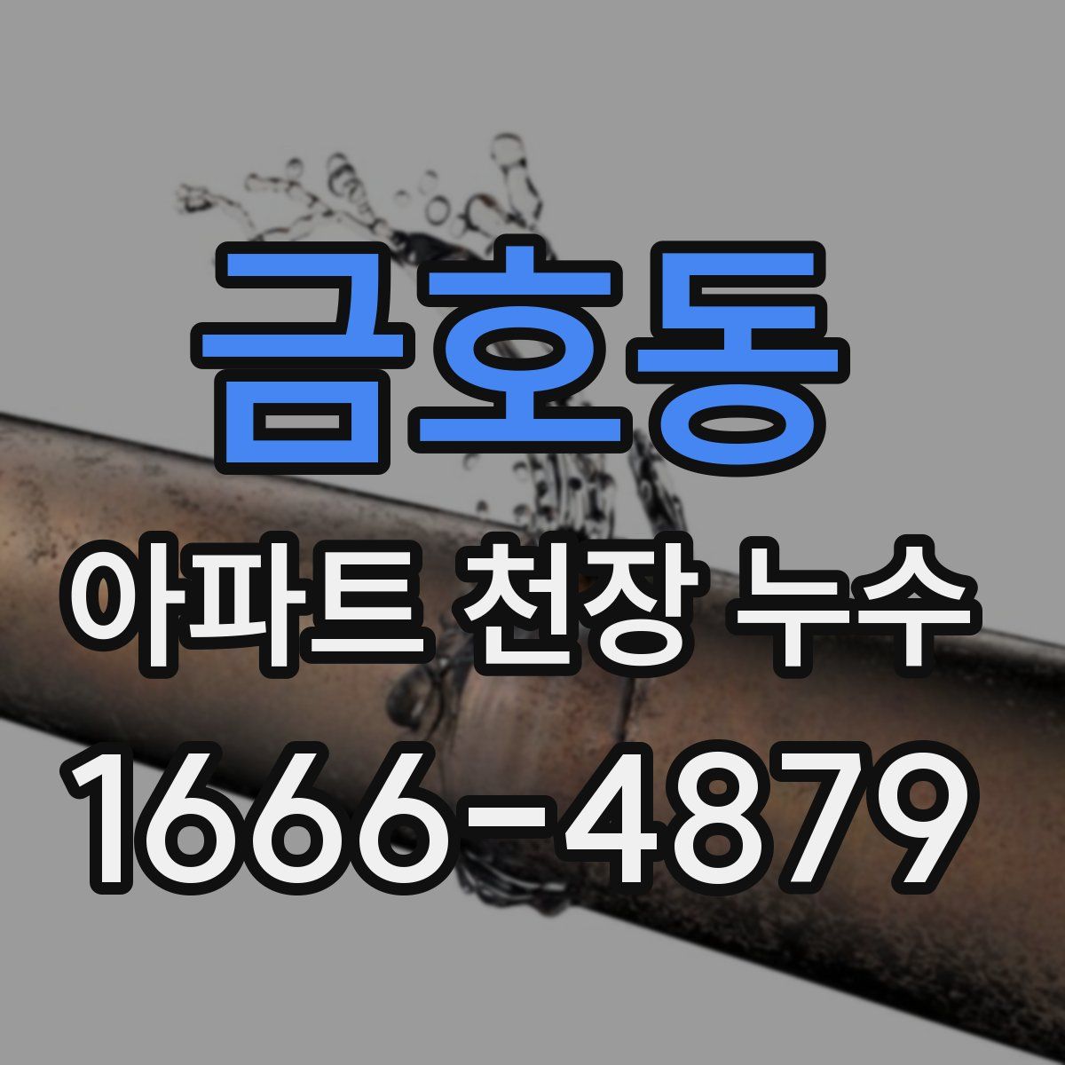 금호동 아파트 천장 누수