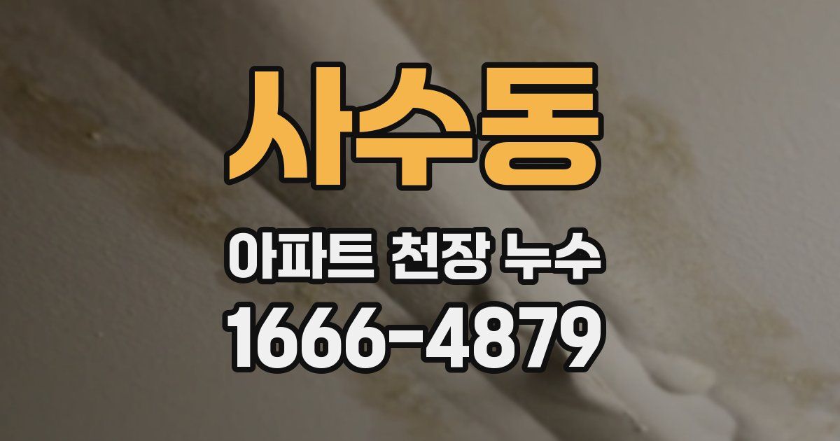 사수동 아파트 천장 누수