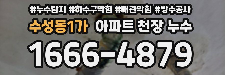 수성동1가 아파트 천장 누수