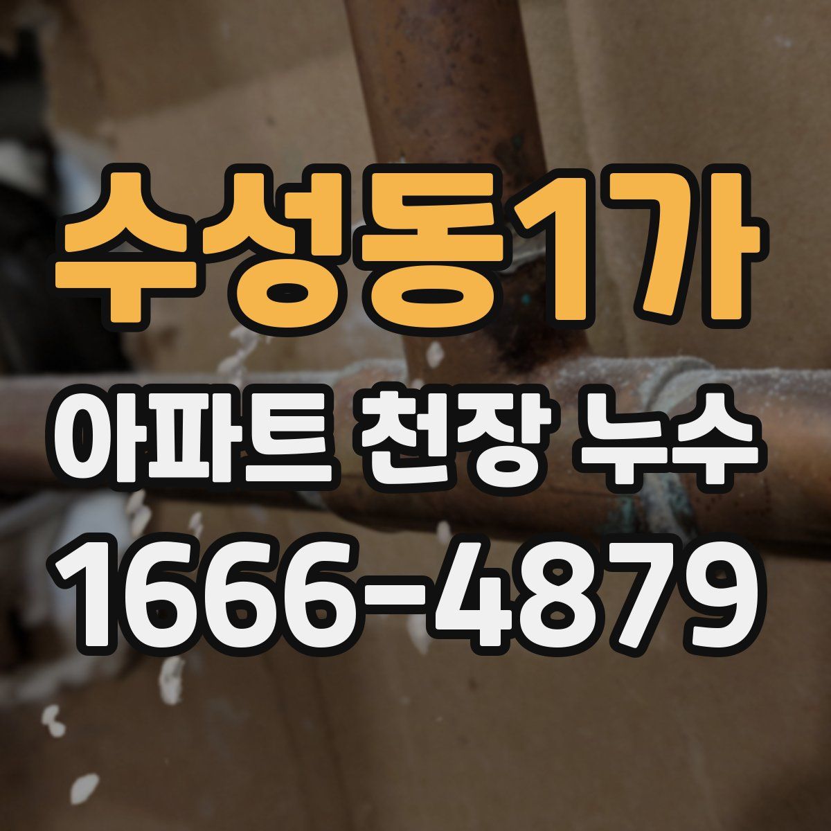 수성동1가 아파트 천장 누수