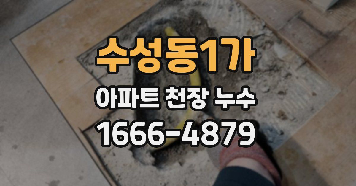 수성동1가 아파트 천장 누수