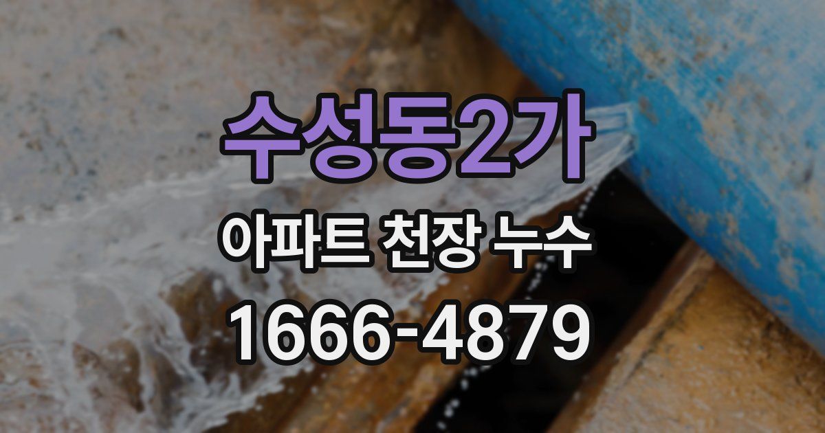 수성동2가 아파트 천장 누수