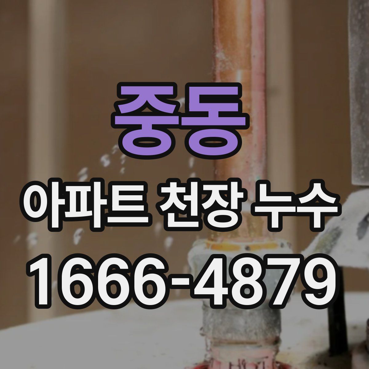 중동 아파트 천장 누수