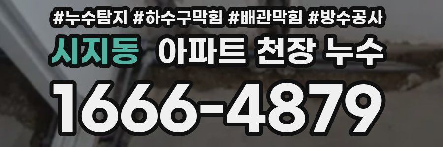 시지동 아파트 천장 누수