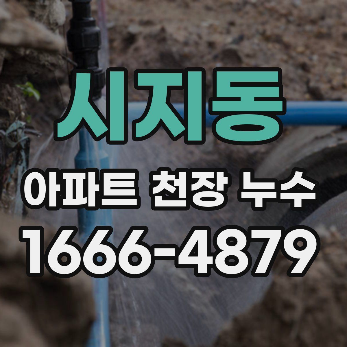 시지동 아파트 천장 누수