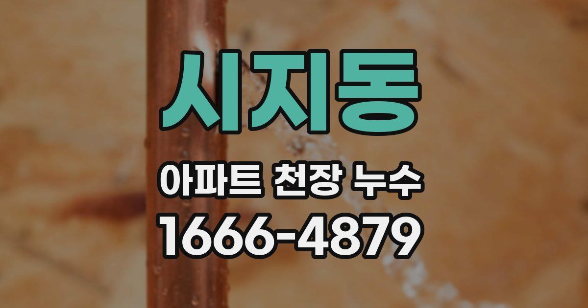 시지동 아파트 천장 누수