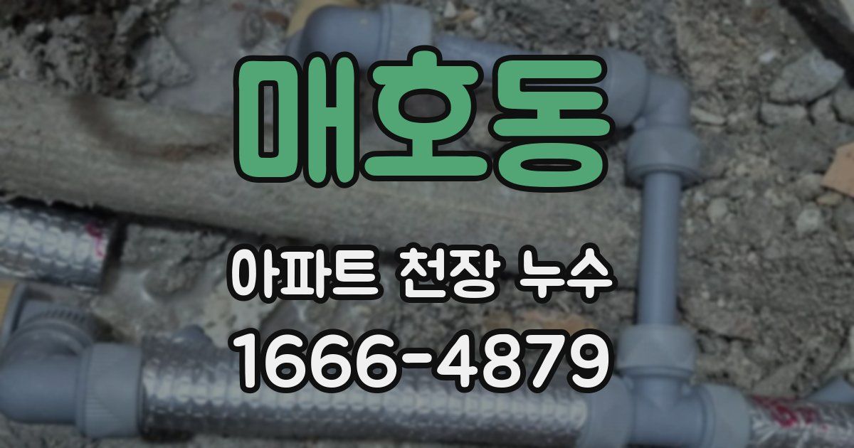 매호동 아파트 천장 누수