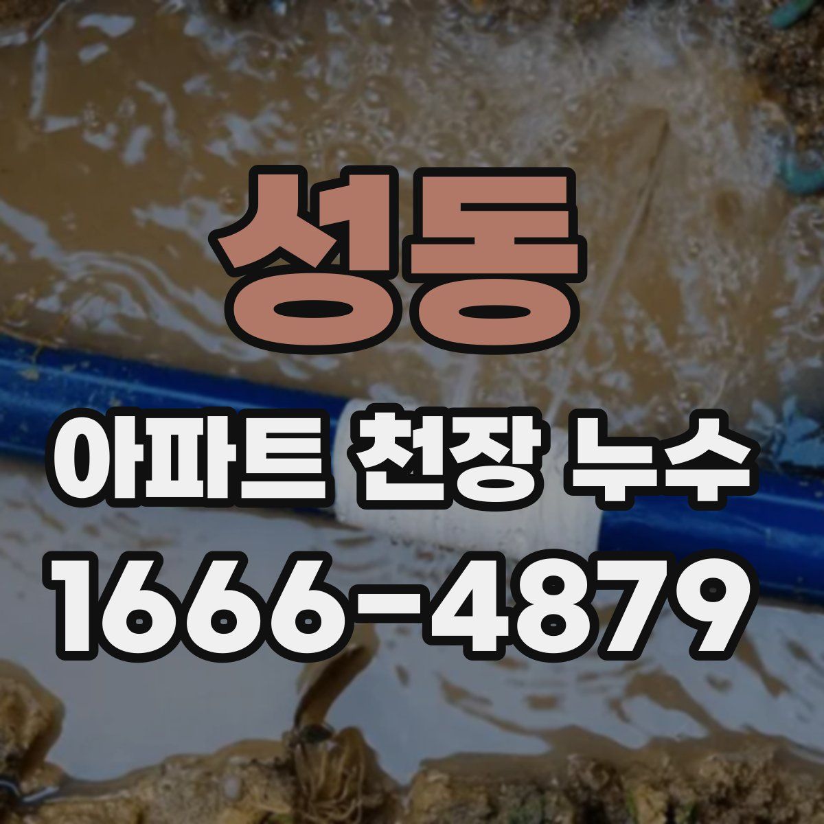 성동 아파트 천장 누수