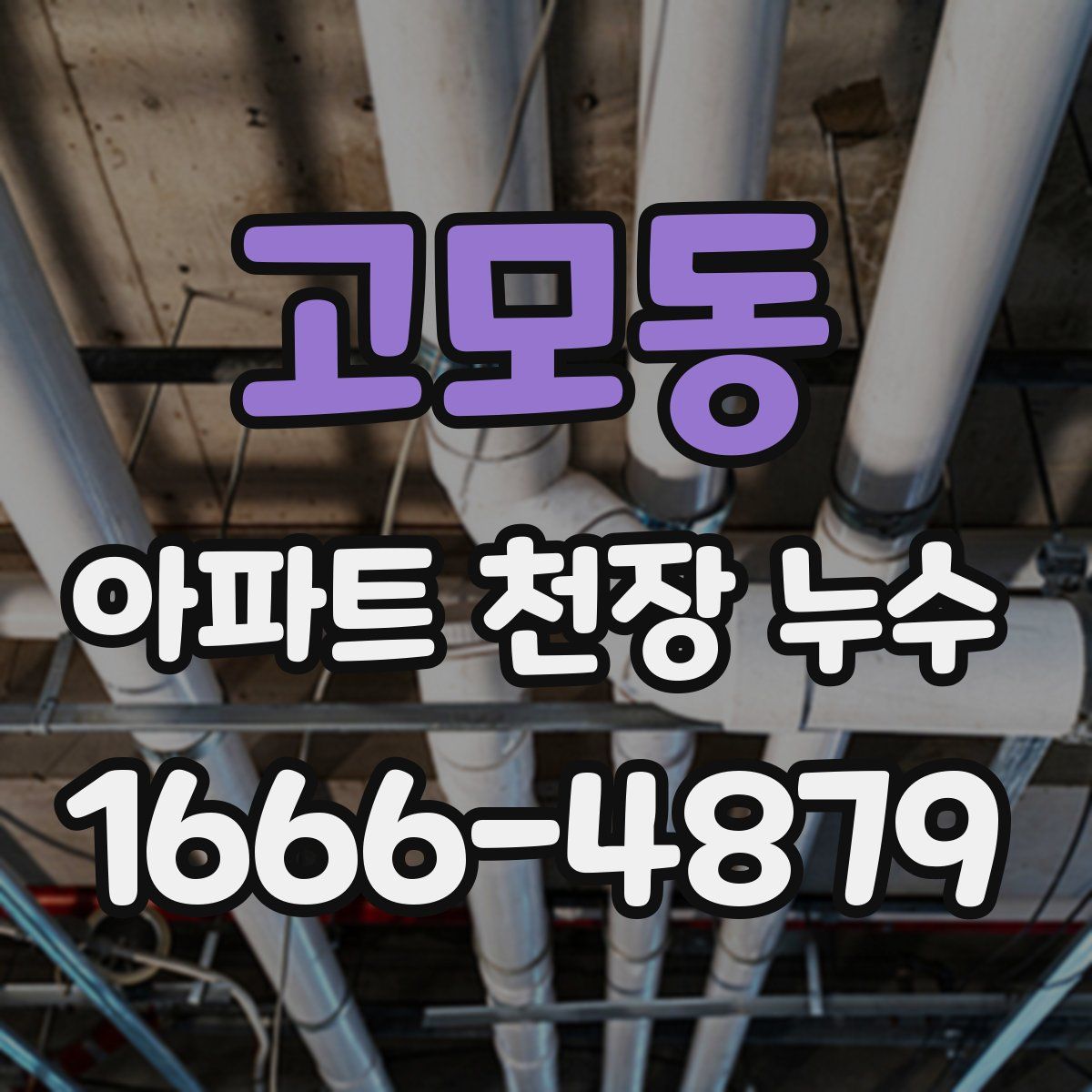 고모동 아파트 천장 누수
