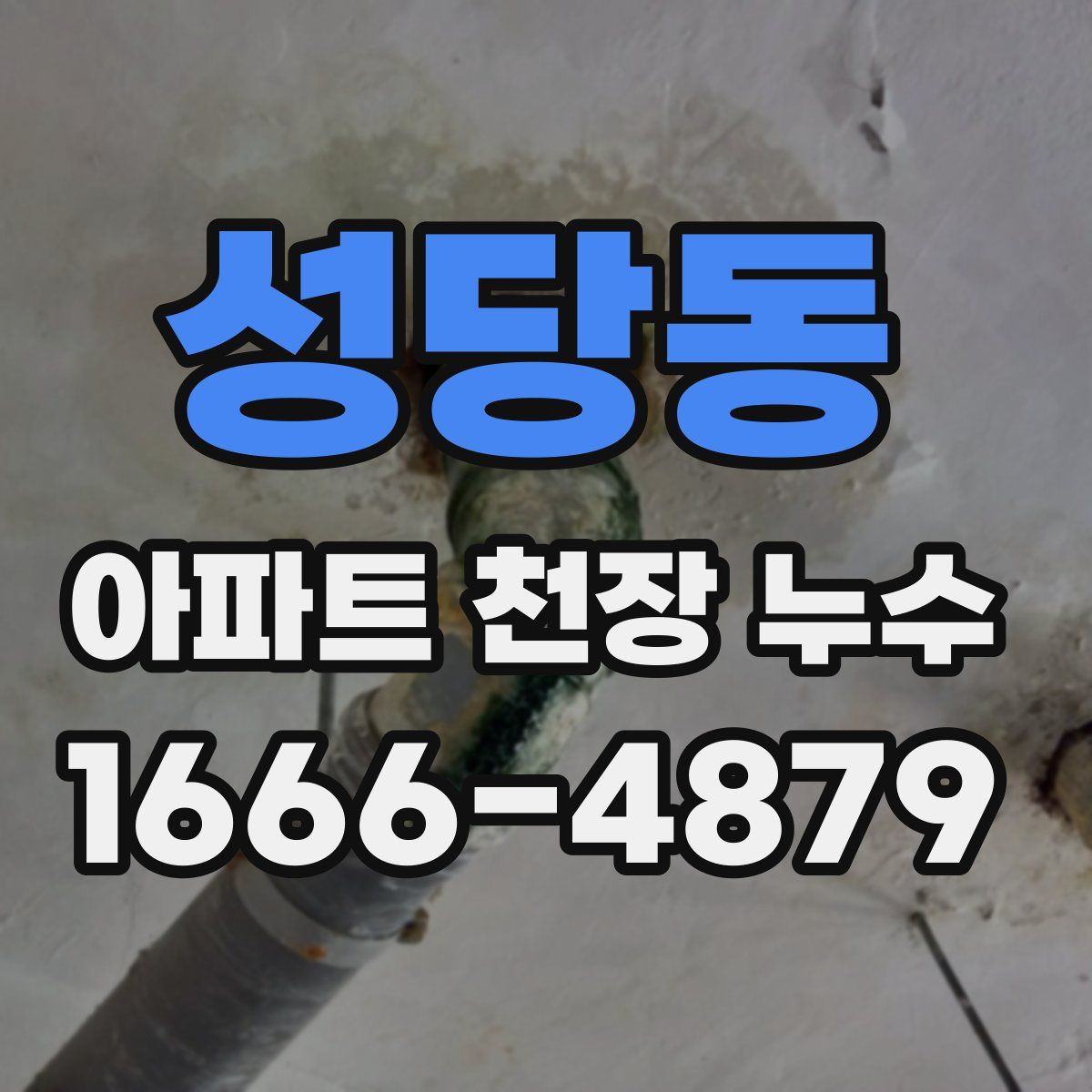 성당동 아파트 천장 누수
