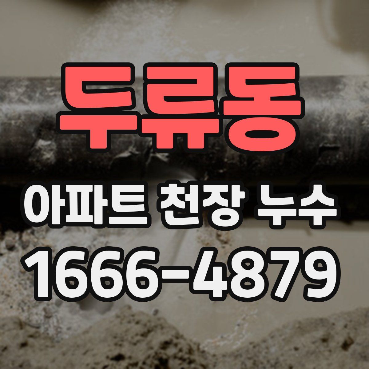 두류동 아파트 천장 누수