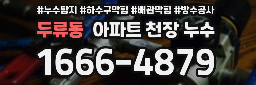 두류동 아파트 천장 누수