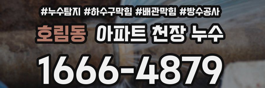 호림동 아파트 천장 누수