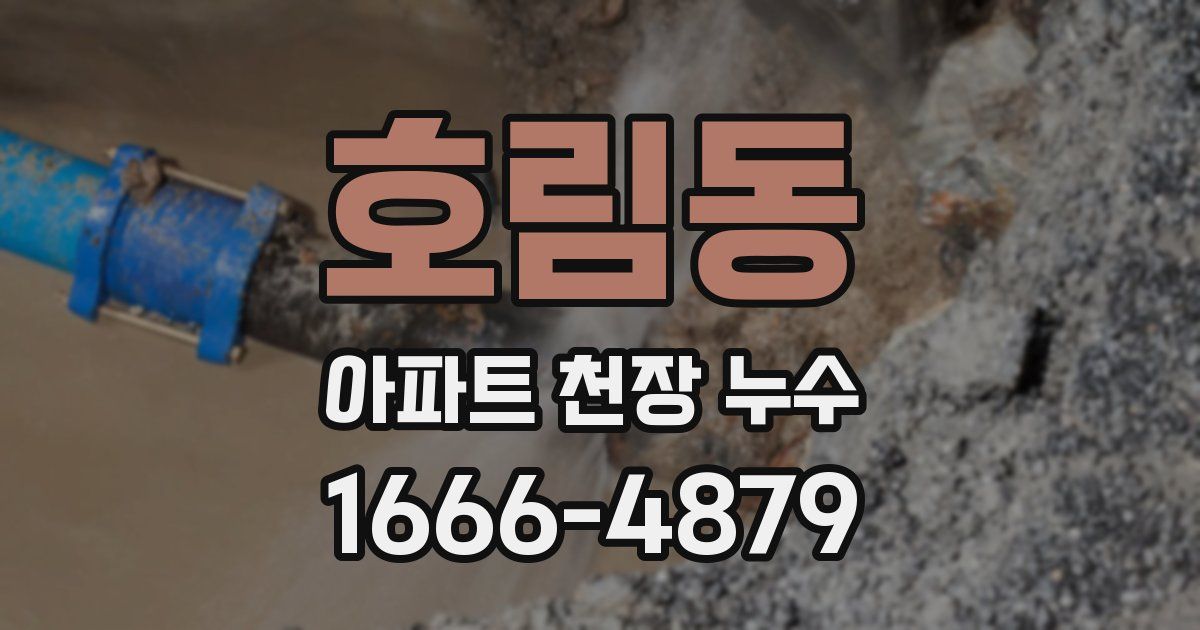 호림동 아파트 천장 누수