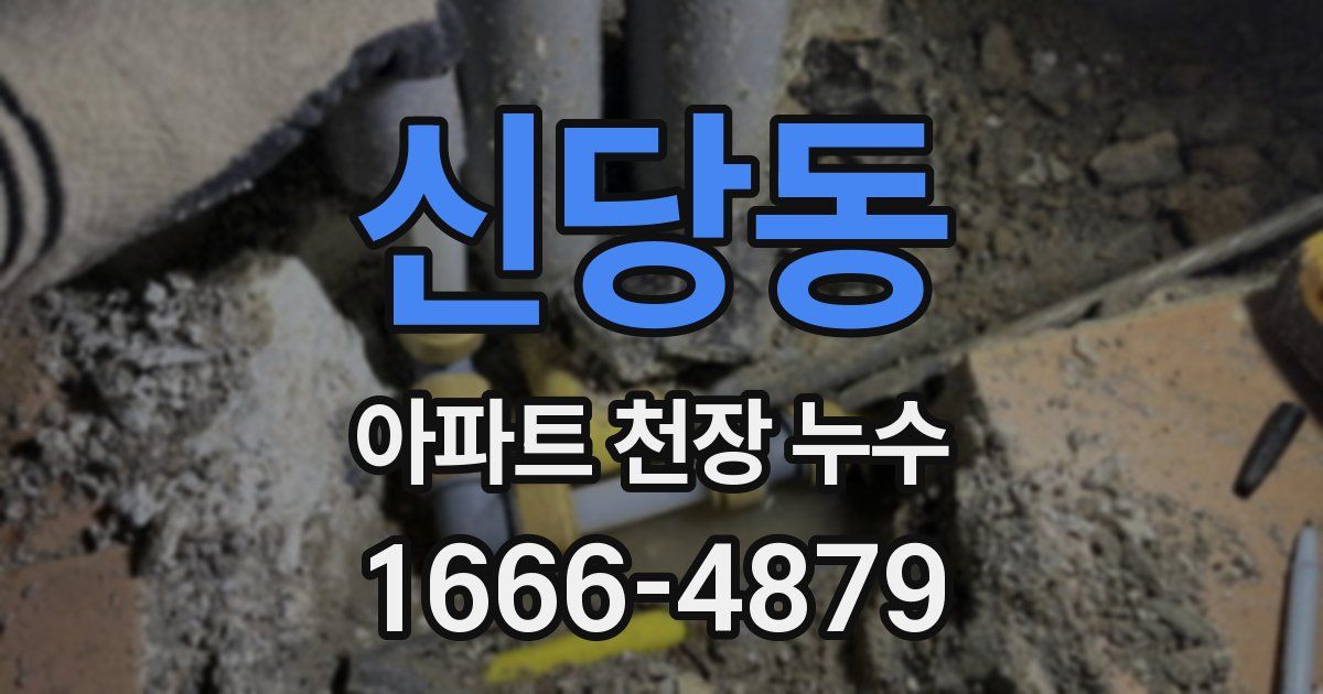 신당동 아파트 천장 누수