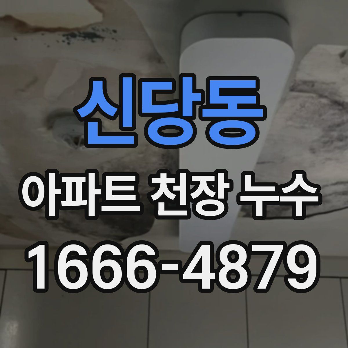 신당동 아파트 천장 누수