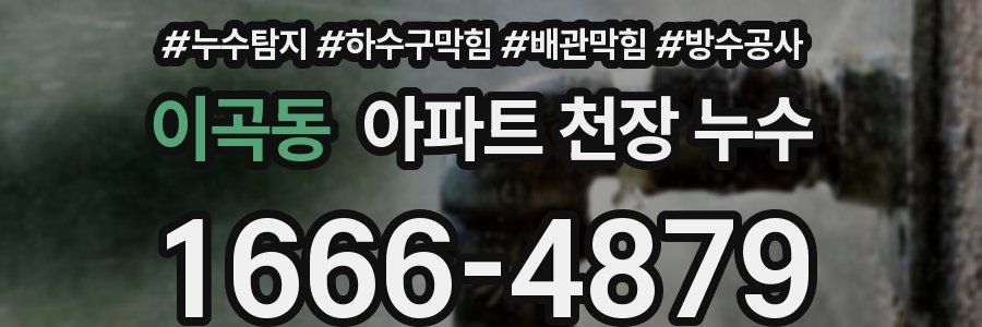 이곡동 아파트 천장 누수