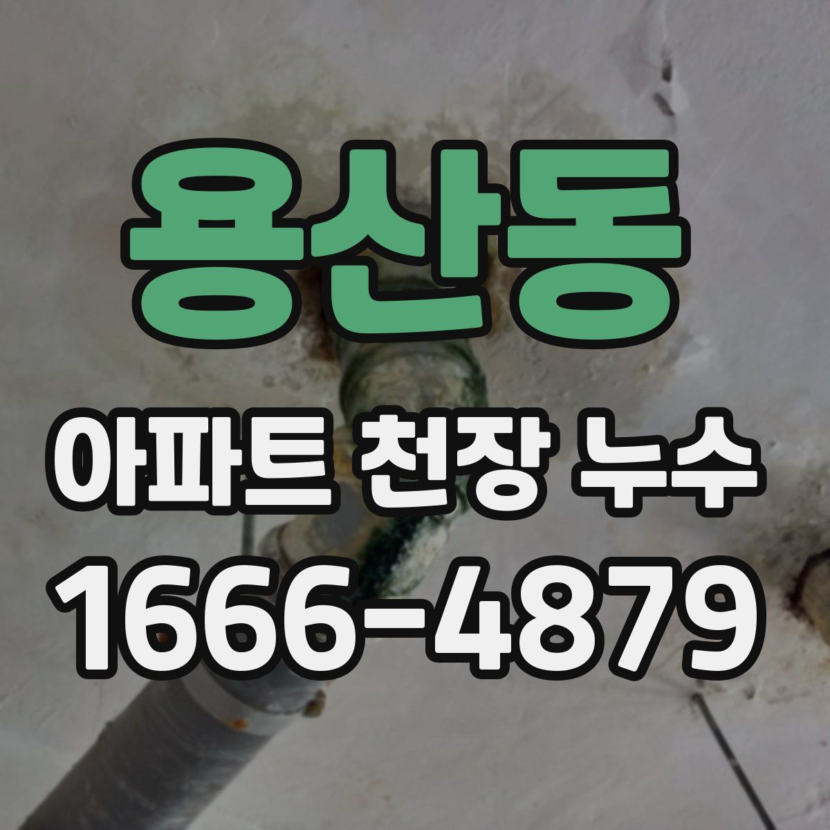 용산동 아파트 천장 누수