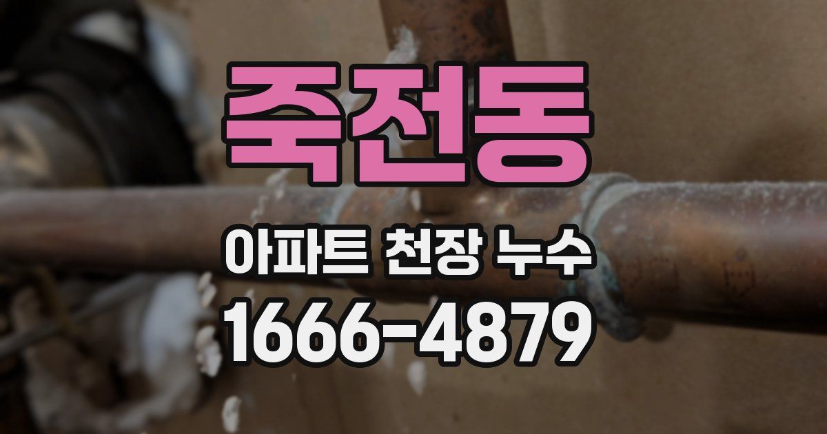 죽전동 아파트 천장 누수