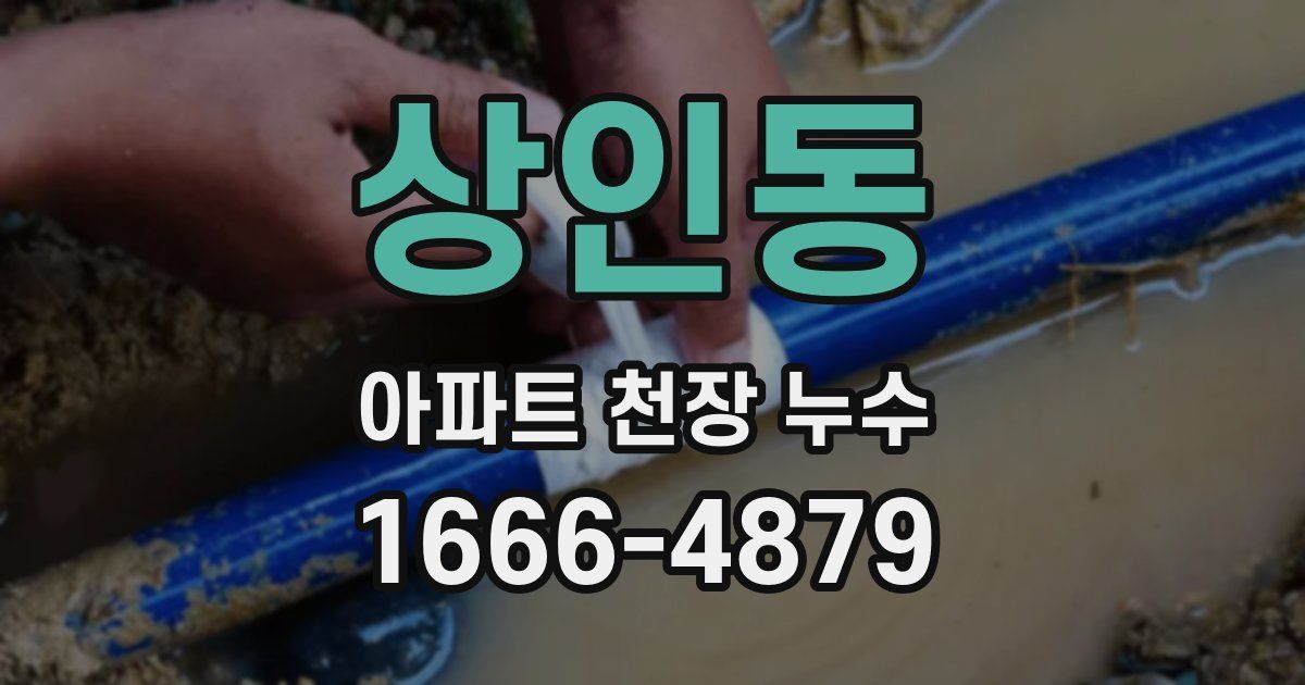 상인동 아파트 천장 누수