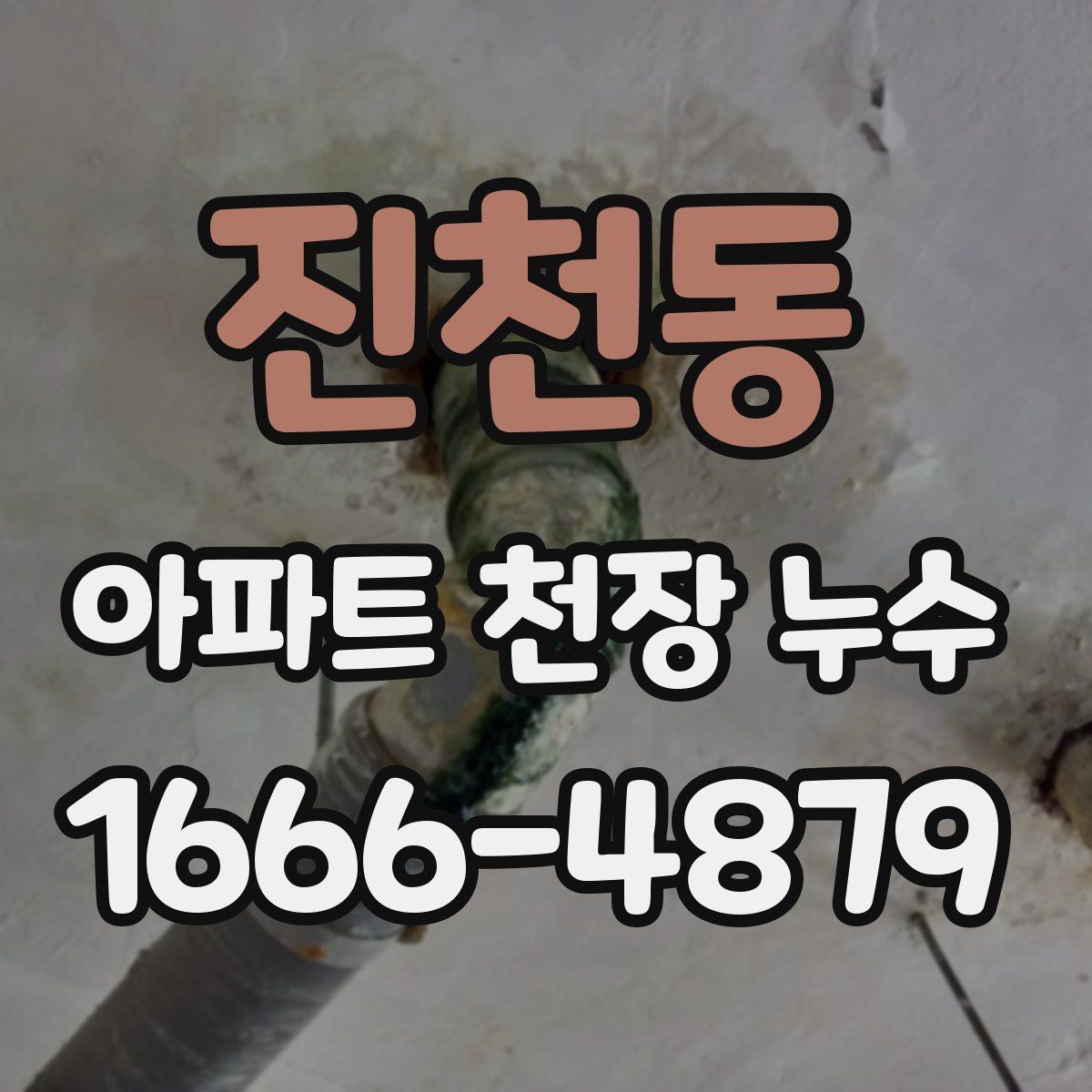 진천동 아파트 천장 누수