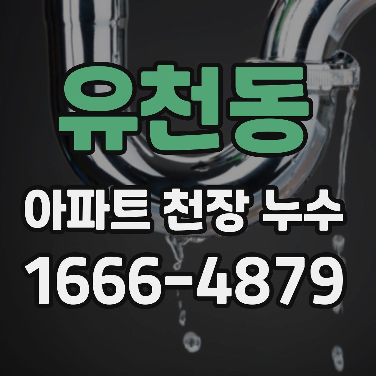 유천동 아파트 천장 누수