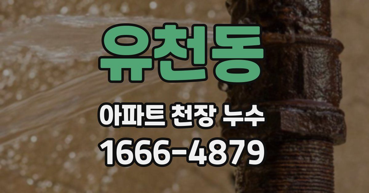 유천동 아파트 천장 누수