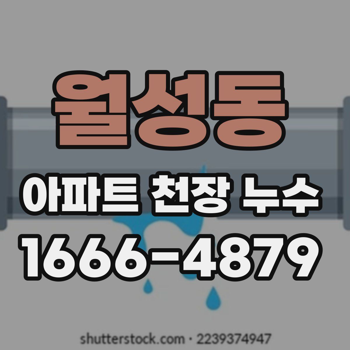 월성동 아파트 천장 누수