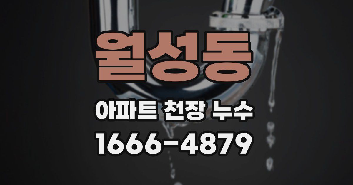 월성동 아파트 천장 누수