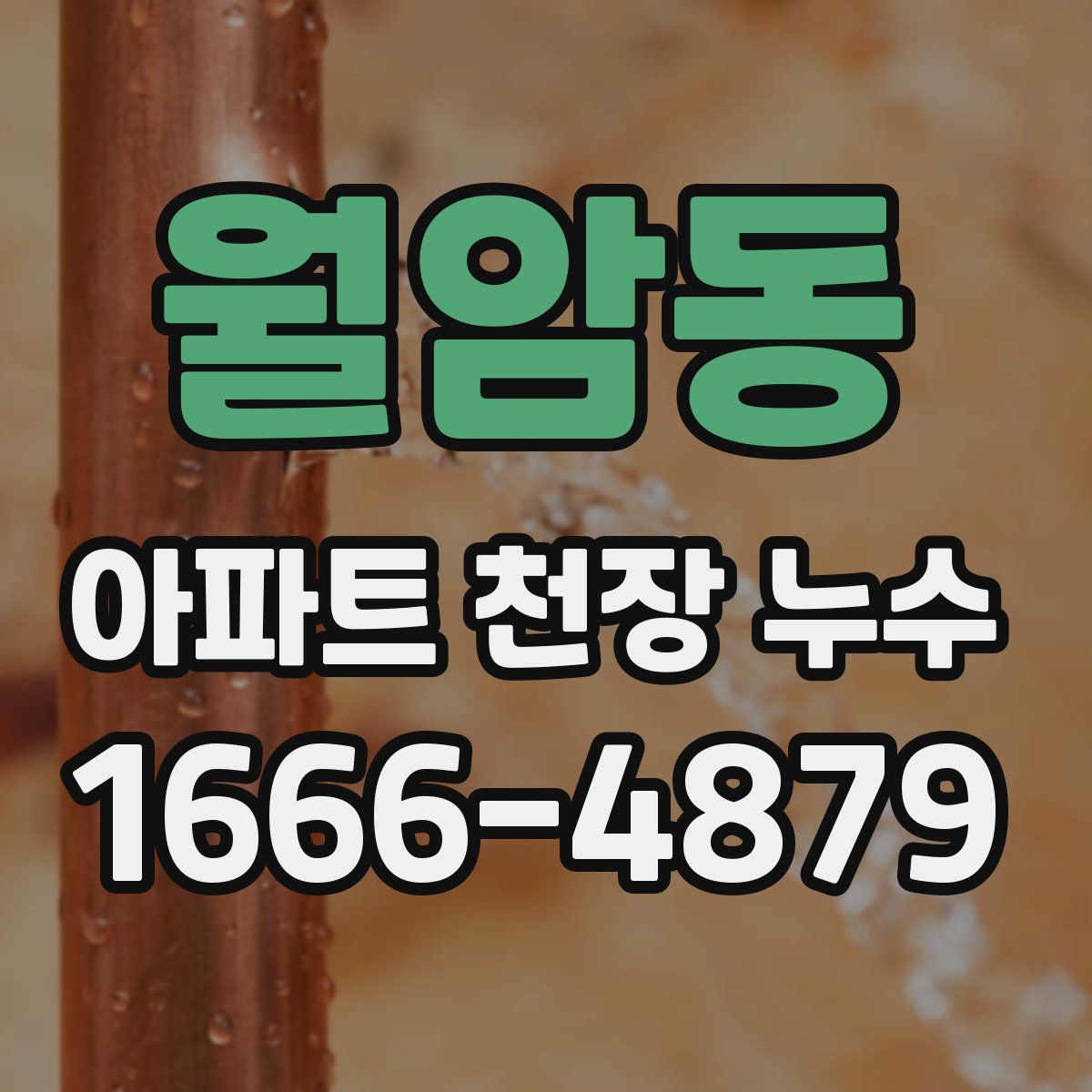 월암동 아파트 천장 누수