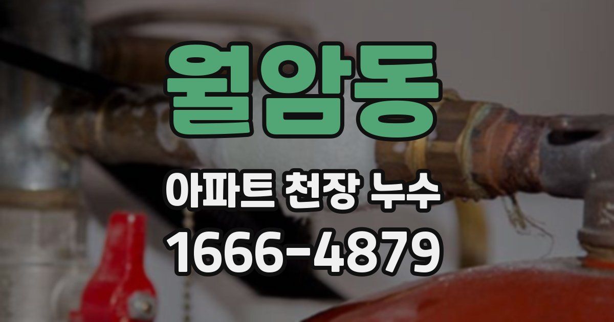 월암동 아파트 천장 누수
