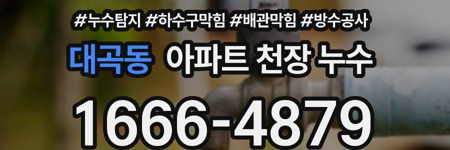 대곡동 아파트 천장 누수