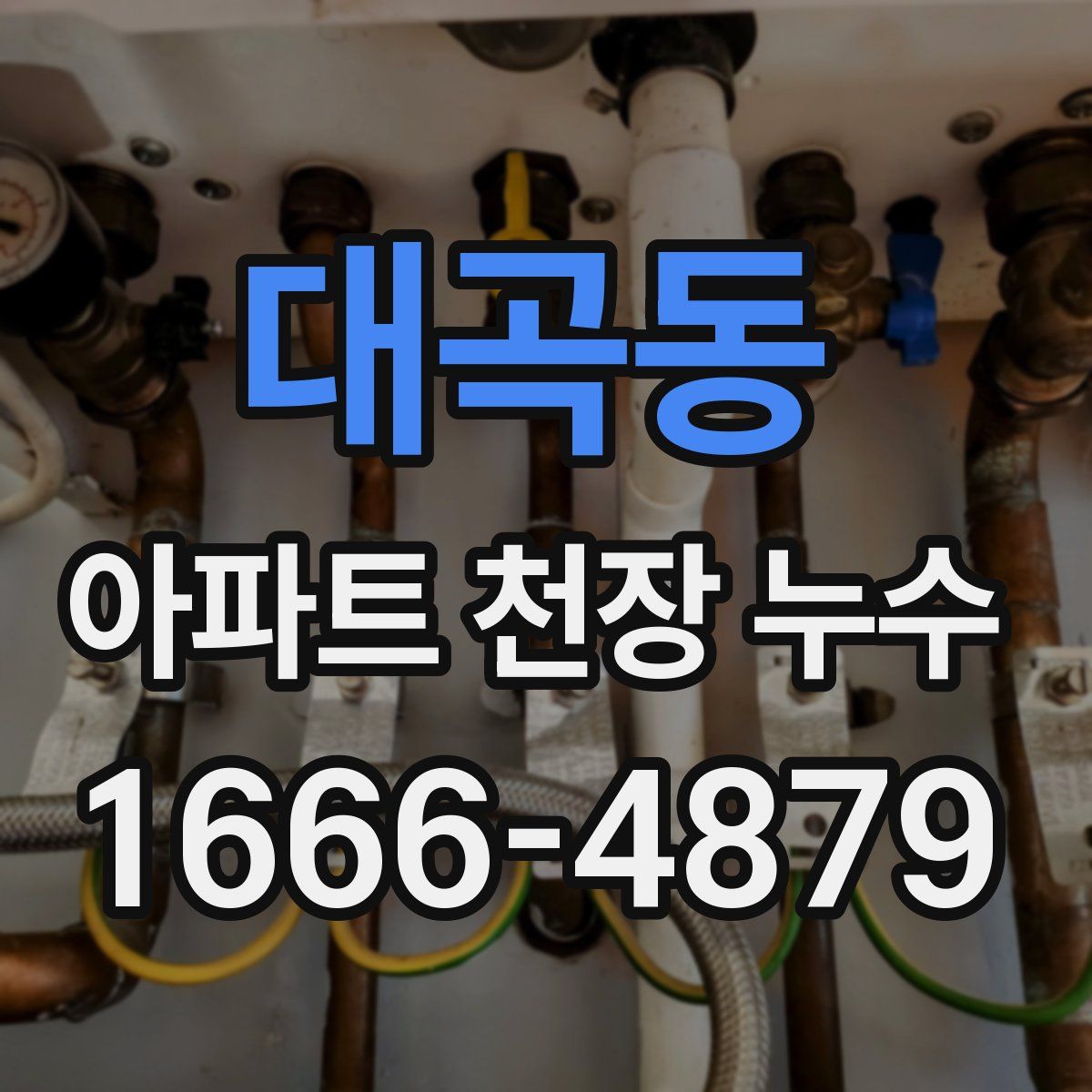 대곡동 아파트 천장 누수