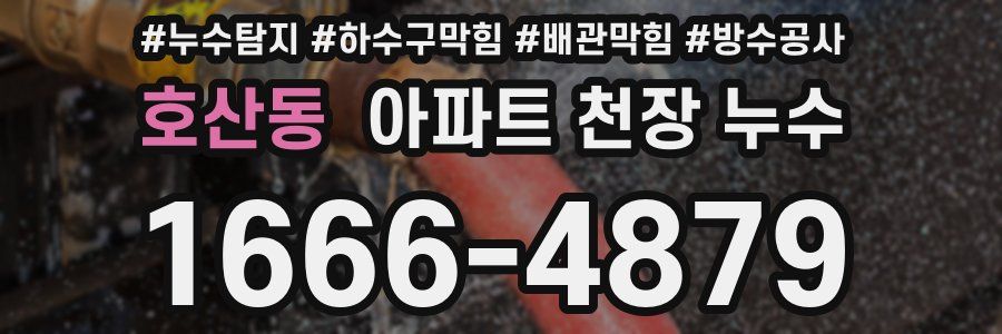 호산동 아파트 천장 누수