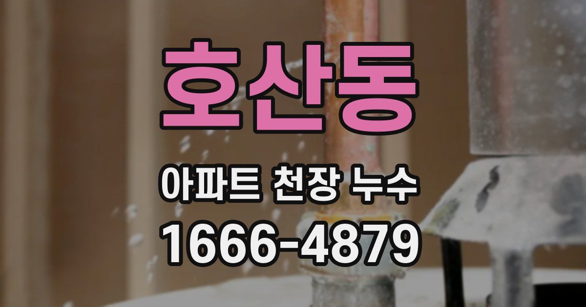 호산동 아파트 천장 누수