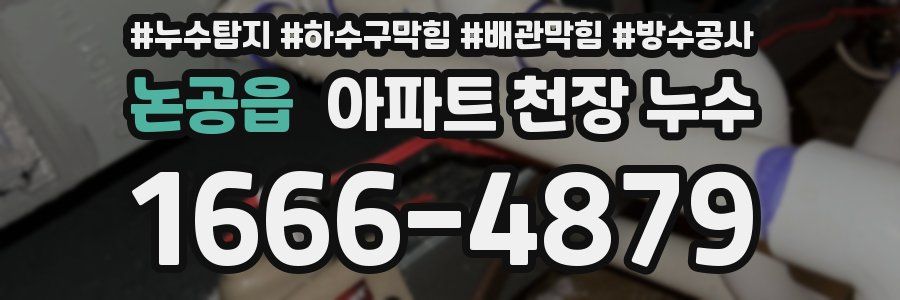 논공읍 아파트 천장 누수