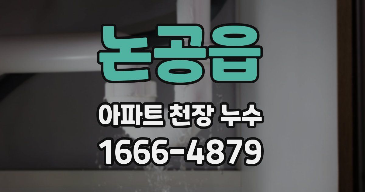 논공읍 아파트 천장 누수