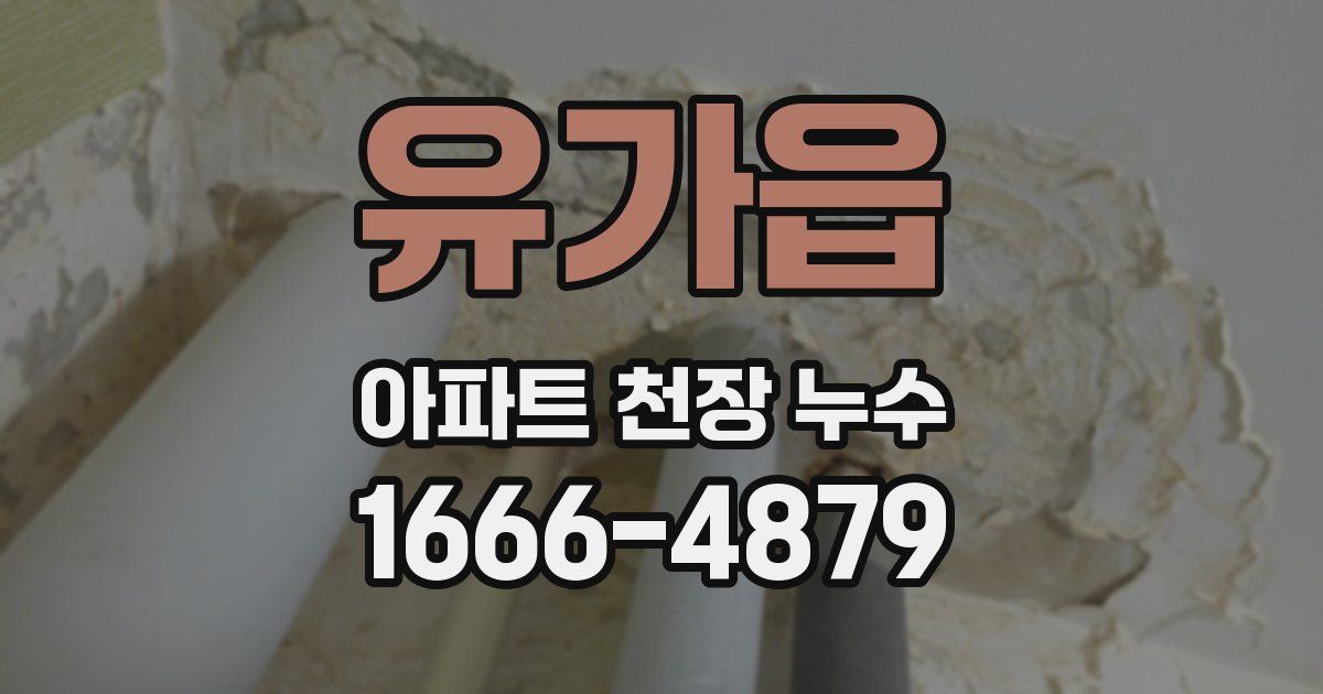 유가읍 아파트 천장 누수