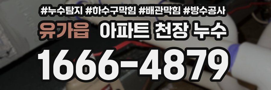 유가읍 아파트 천장 누수