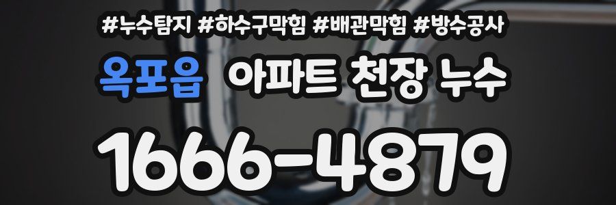 옥포읍 아파트 천장 누수