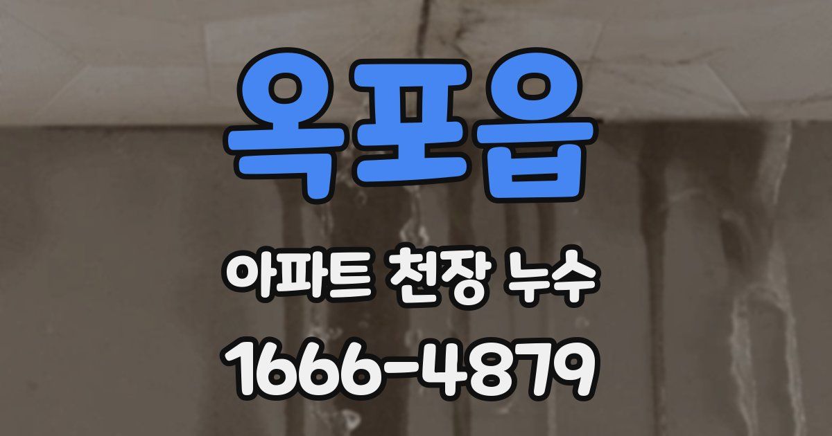 옥포읍 아파트 천장 누수