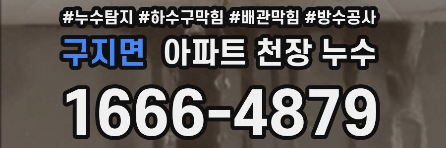 구지면 아파트 천장 누수
