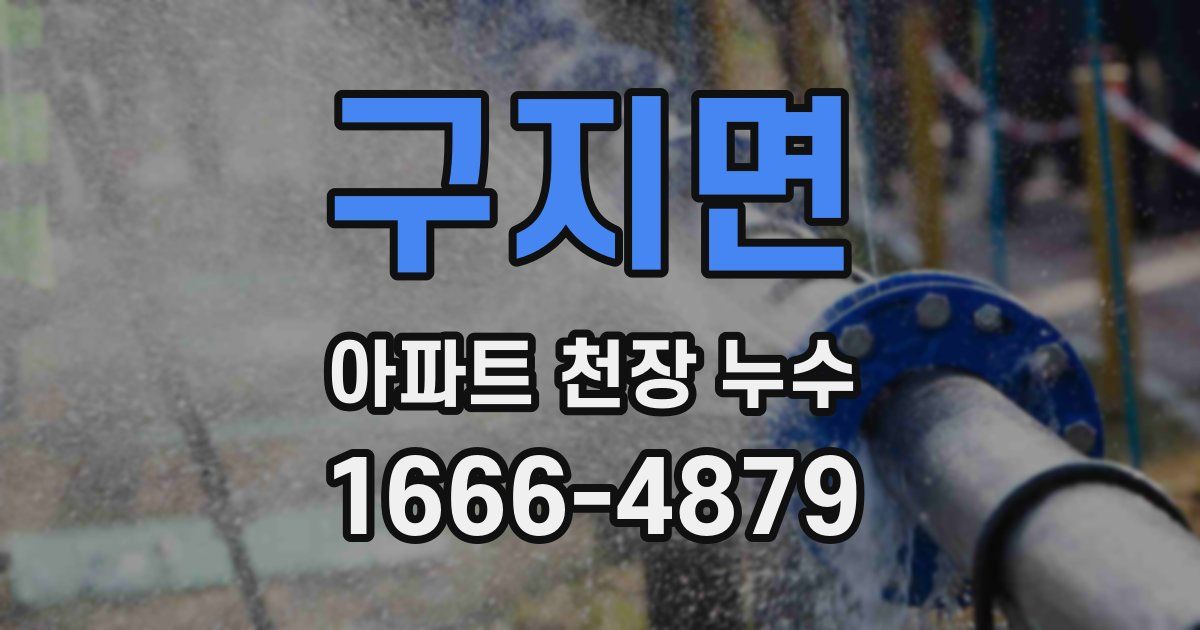 구지면 아파트 천장 누수