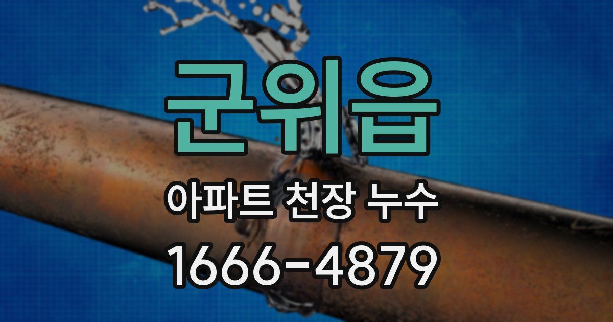 군위읍 아파트 천장 누수