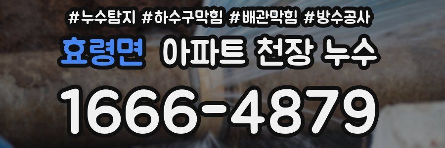 효령면 아파트 천장 누수