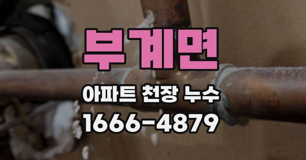 부계면 아파트 천장 누수