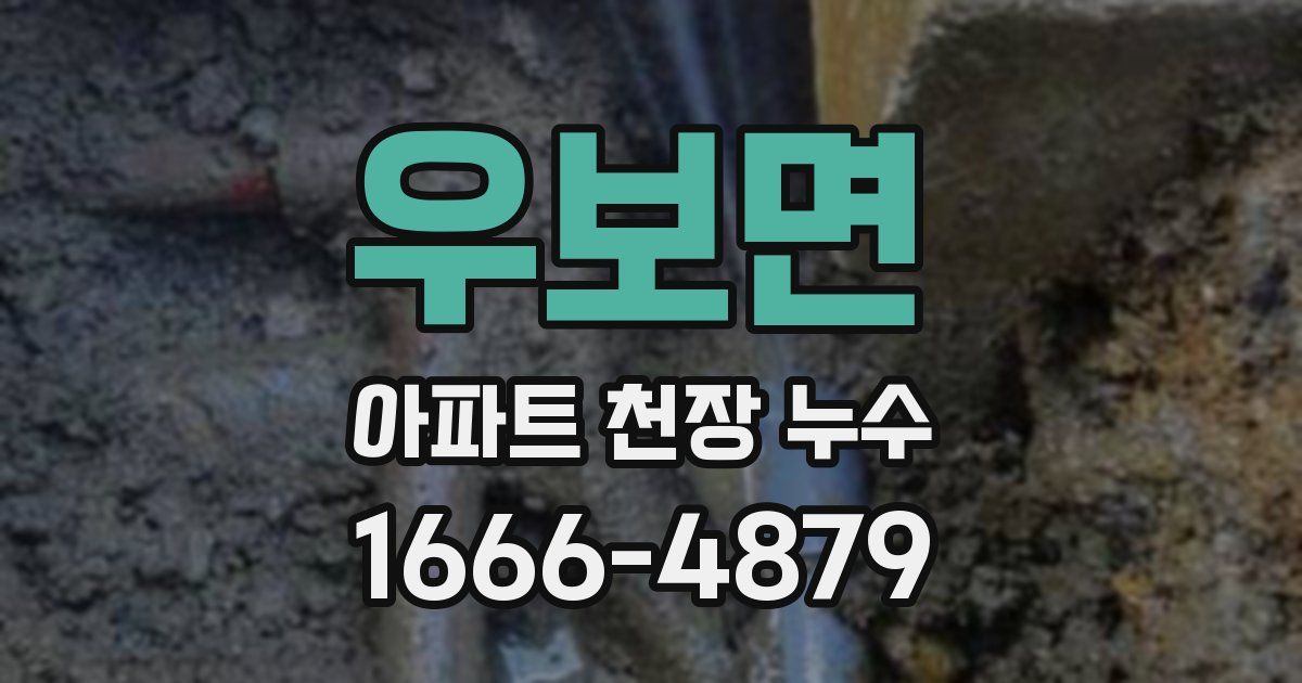 우보면 아파트 천장 누수