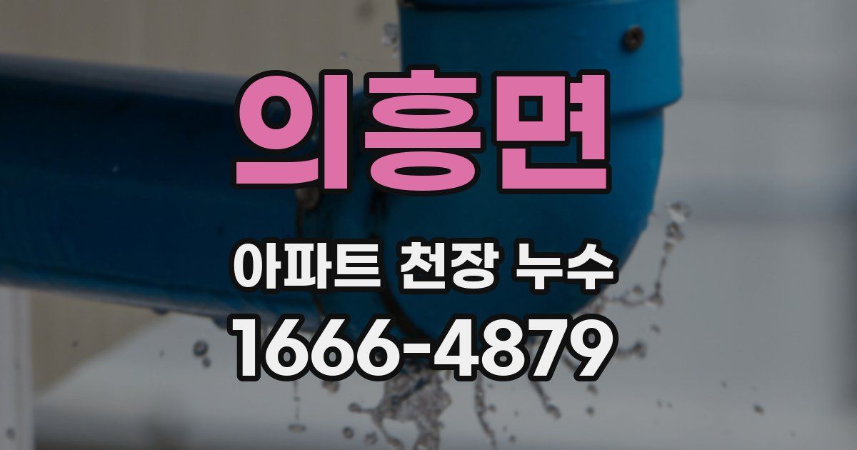 의흥면 아파트 천장 누수